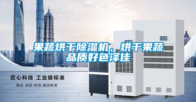 果蔬烘干除濕機，烘干果蔬品質(zhì)好色澤佳