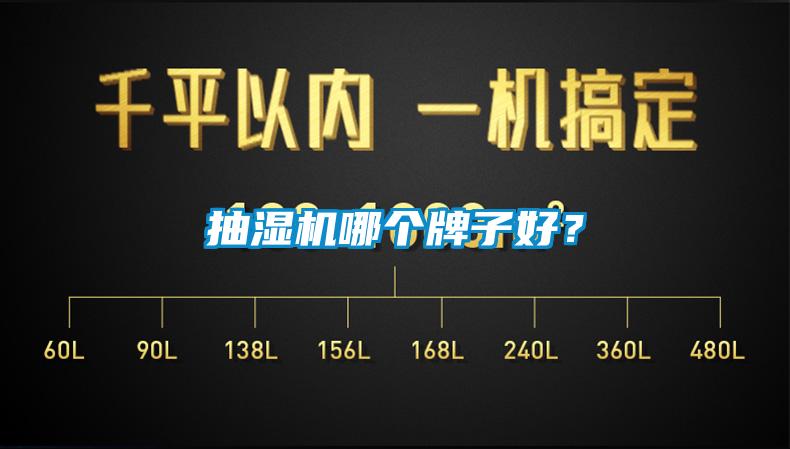 抽濕機(jī)哪個(gè)牌子好？