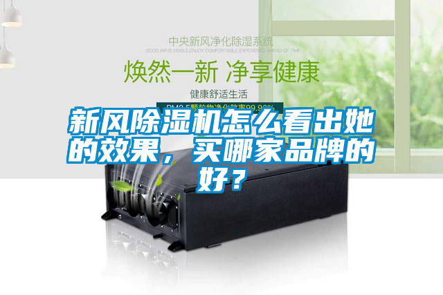 新風(fēng)除濕機(jī)怎么看出她的效果，買哪家品牌的好？