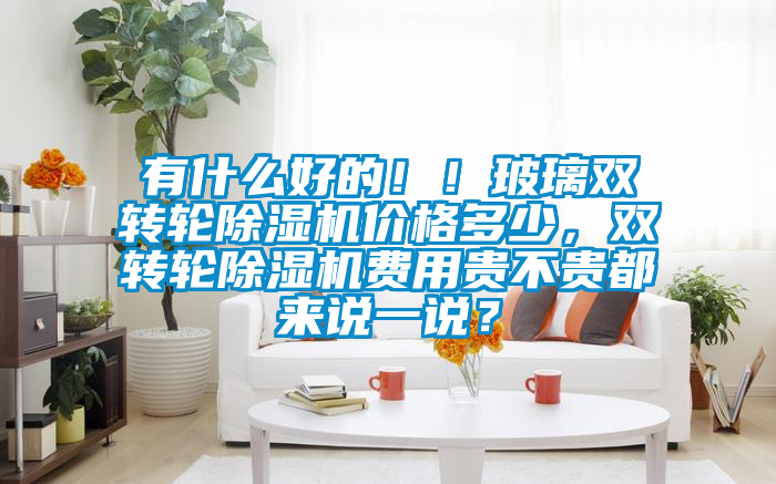 有什么好的??！玻璃雙轉(zhuǎn)輪除濕機(jī)價(jià)格多少，雙轉(zhuǎn)輪除濕機(jī)費(fèi)用貴不貴都來(lái)說(shuō)一說(shuō)？