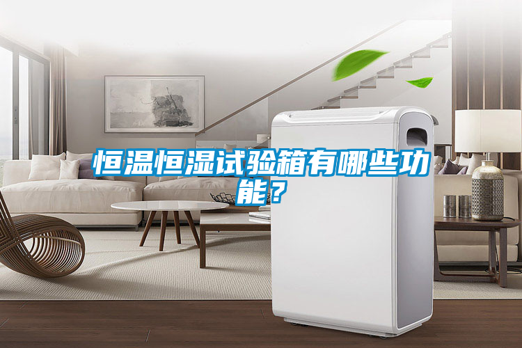 恒溫恒濕試驗(yàn)箱有哪些功能？