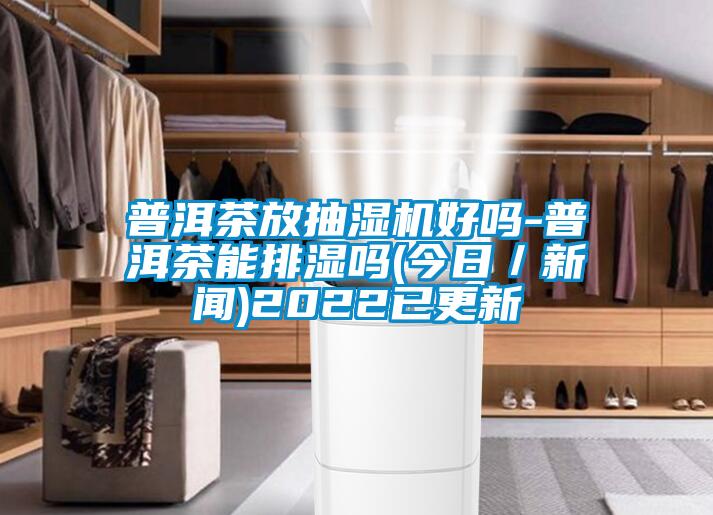 普洱茶放抽濕機(jī)好嗎-普洱茶能排濕嗎(今日／新聞)2022已更新