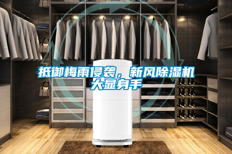抵御梅雨侵襲，新風(fēng)除濕機(jī)大顯身手