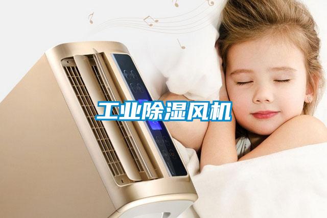 工業(yè)除濕風機