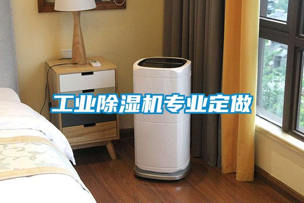工業(yè)除濕機專業(yè)定做