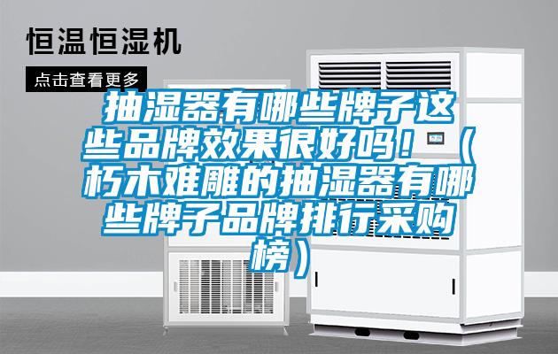 抽濕器有哪些牌子這些品牌效果很好嗎?。ㄐ嗄倦y雕的抽濕器有哪些牌子品牌排行采購榜）