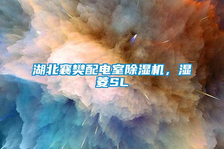 湖北襄樊配電室除濕機，濕菱SL