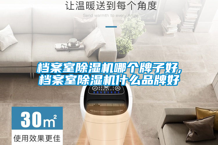 檔案室除濕機(jī)哪個(gè)牌子好,檔案室除濕機(jī)什么品牌好