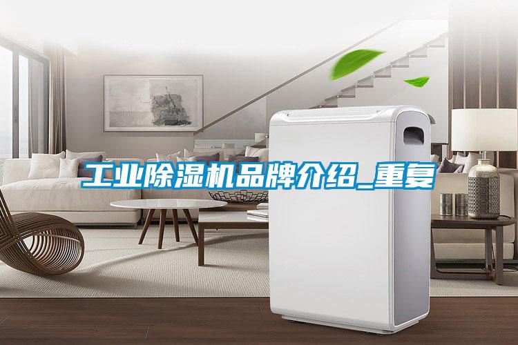 工業(yè)除濕機品牌介紹_重復