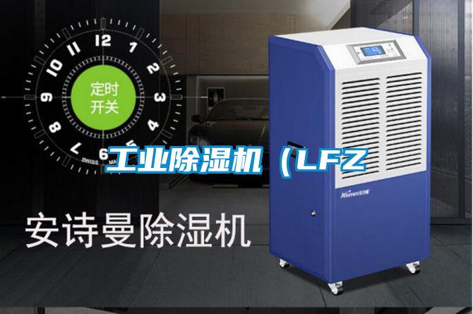 工業(yè)除濕機（LFZ