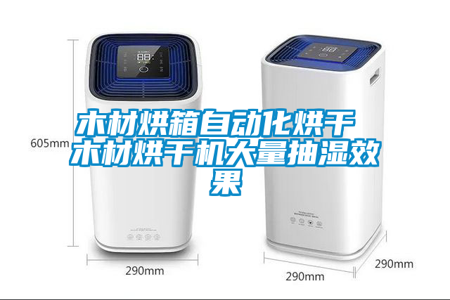木材烘箱自動化烘干 木材烘干機(jī)大量抽濕效果