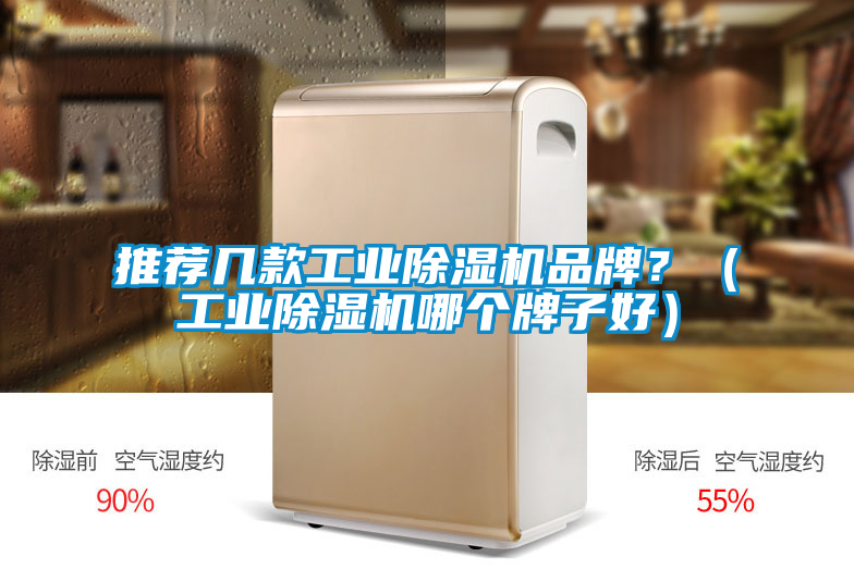 推薦幾款工業(yè)除濕機品牌？（工業(yè)除濕機哪個牌子好）