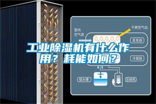 工業(yè)除濕機(jī)有什么作用？耗能如何？