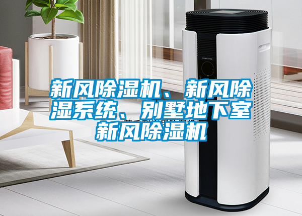 新風(fēng)除濕機(jī)、新風(fēng)除濕系統(tǒng)、別墅地下室新風(fēng)除濕機(jī)