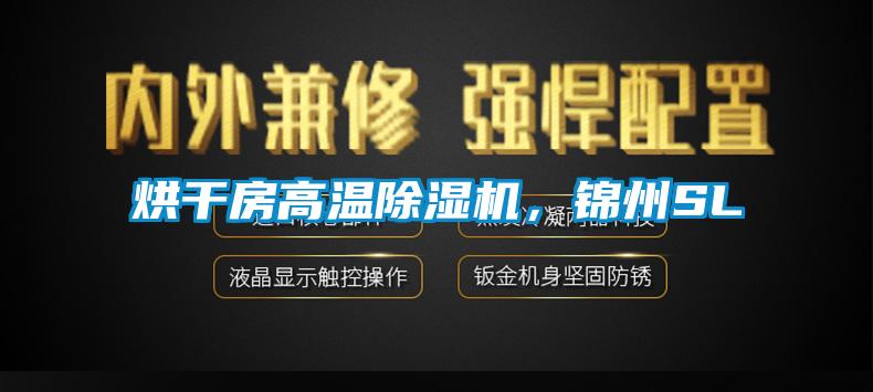 烘干房高溫除濕機(jī)，錦州SL