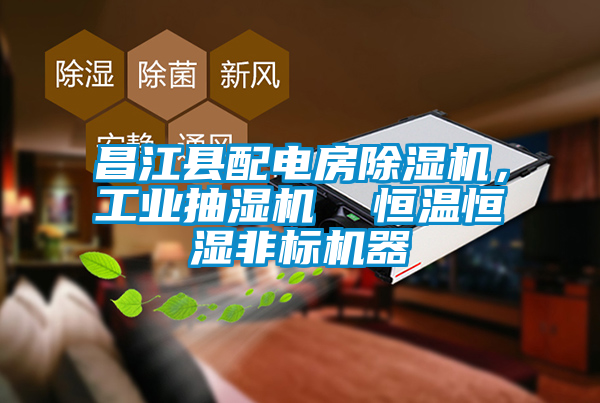 昌江縣配電房除濕機，工業(yè)抽濕機  恒溫恒濕非標機器