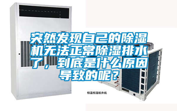 突然發(fā)現(xiàn)自己的除濕機無法正常除濕排水了，到底是什么原因?qū)е碌哪兀?/></p>
						    <p style=