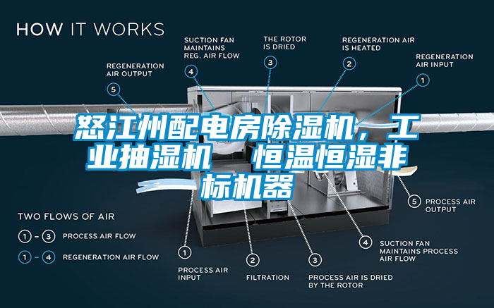 怒江州配電房除濕機(jī)，工業(yè)抽濕機(jī)  恒溫恒濕非標(biāo)機(jī)器