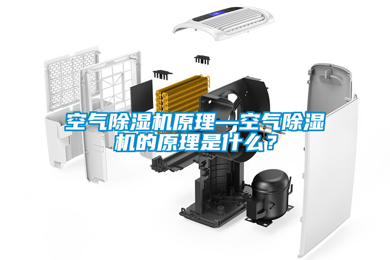 空氣除濕機(jī)原理—空氣除濕機(jī)的原理是什么？