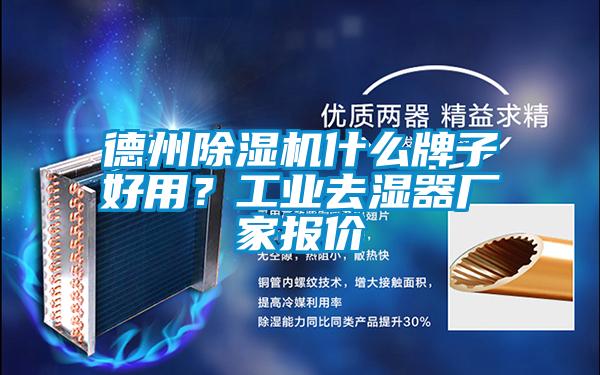 德州除濕機(jī)什么牌子好用？工業(yè)去濕器廠家報(bào)價(jià)