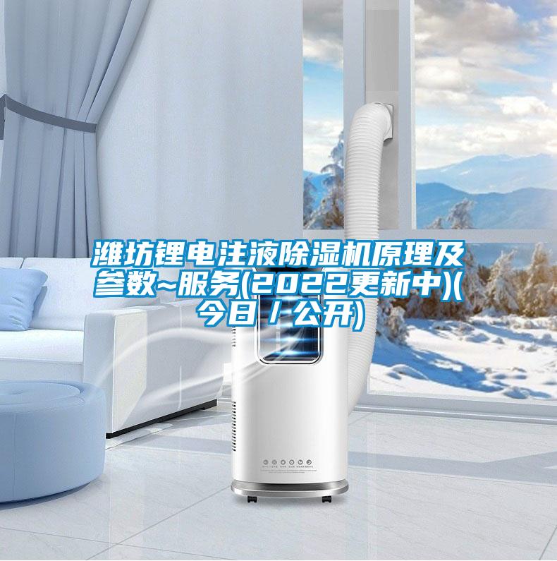 濰坊鋰電注液除濕機(jī)原理及參數(shù)~服務(wù)(2022更新中)(今日／公開)