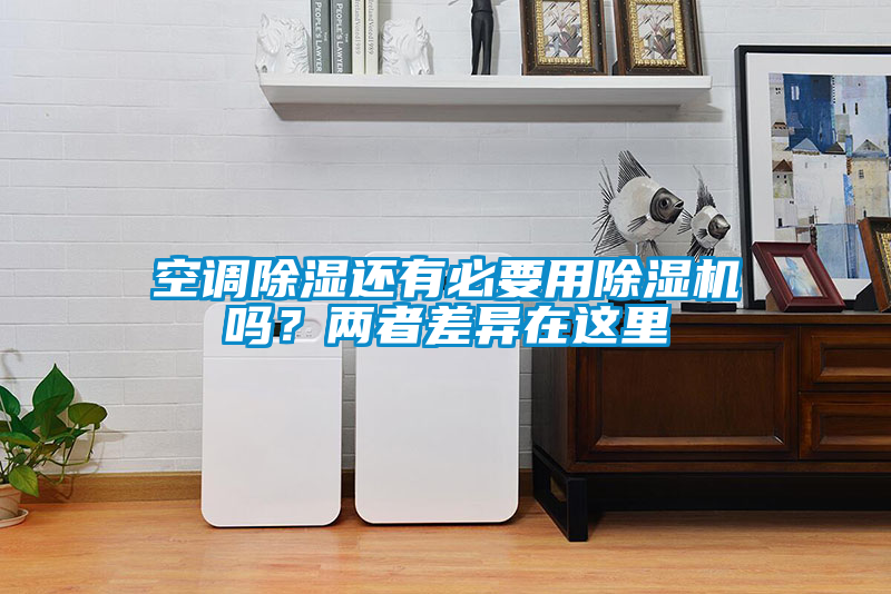 空調(diào)除濕還有必要用除濕機嗎？兩者差異在這里