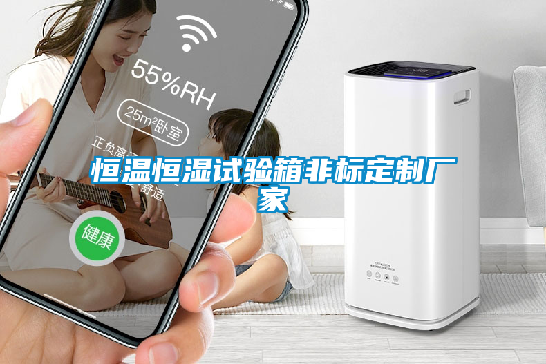 恒溫恒濕試驗箱非標(biāo)定制廠家