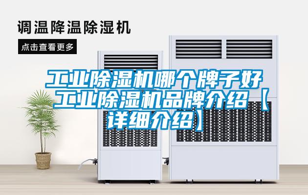 工業(yè)除濕機(jī)哪個牌子好 工業(yè)除濕機(jī)品牌介紹【詳細(xì)介紹】