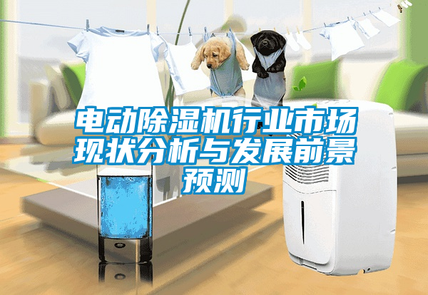 電動(dòng)除濕機(jī)行業(yè)市場現(xiàn)狀分析與發(fā)展前景預(yù)測