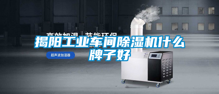 揭陽(yáng)工業(yè)車間除濕機(jī)什么牌子好