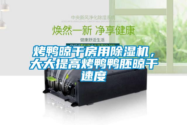 烤鴨晾干房用除濕機(jī)，大大提高烤鴨鴨胚晾干速度