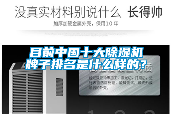 目前中國十大除濕機(jī)牌子排名是什么樣的？