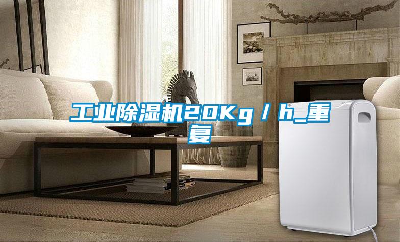 工業(yè)除濕機20Kg／h_重復