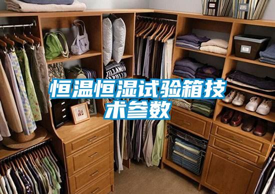 恒溫恒濕試驗箱技術(shù)參數(shù)