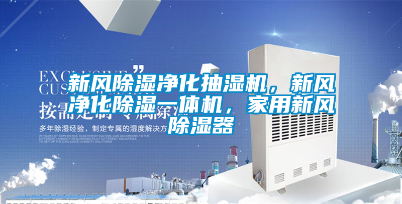 新風除濕凈化抽濕機，新風凈化除濕一體機，家用新風除濕器