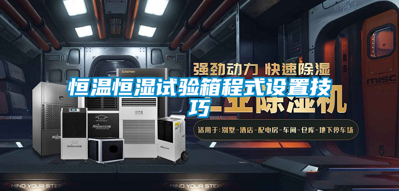 恒溫恒濕試驗箱程式設(shè)置技巧
