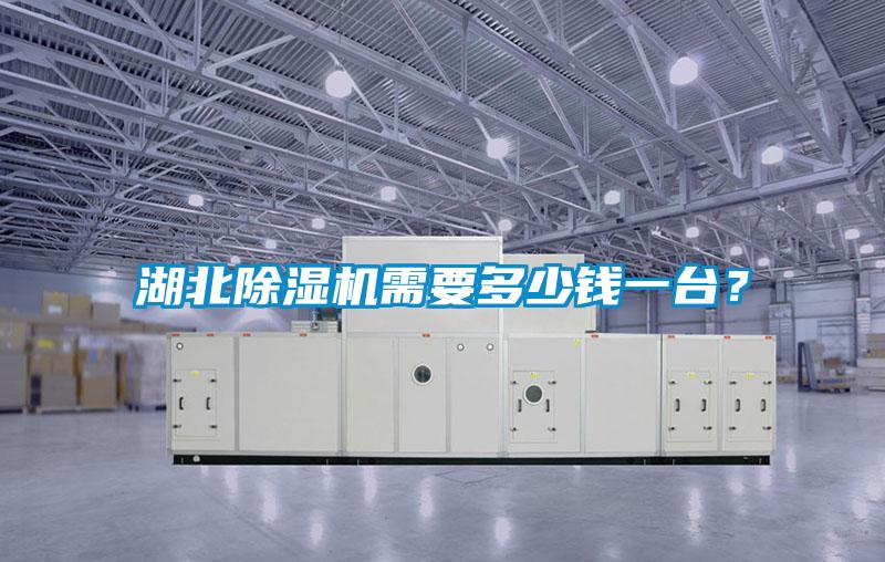 湖北除濕機(jī)需要多少錢一臺(tái)？