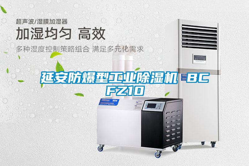 延安防爆型工業(yè)除濕機(jī) BCFZ10