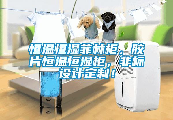 恒溫恒濕菲林柜，膠片恒溫恒濕柜，非標設計定制！