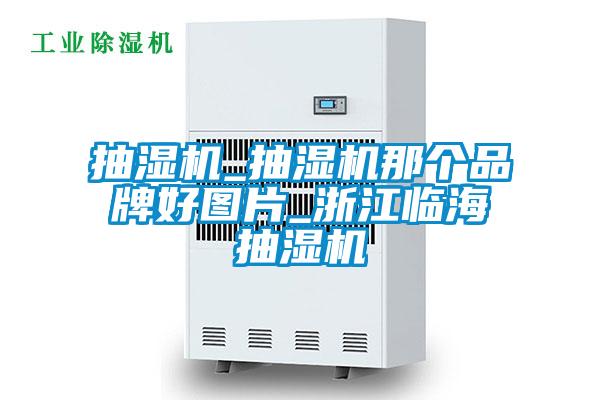 抽濕機(jī)_抽濕機(jī)那個(gè)品牌好圖片_浙江臨海抽濕機(jī)