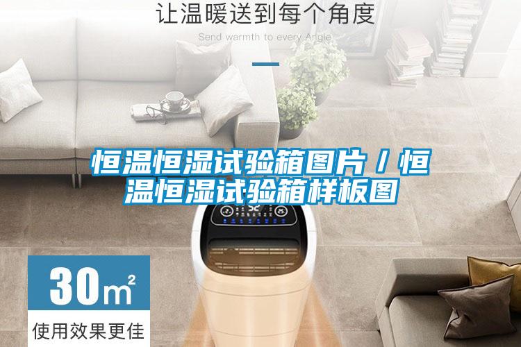 恒溫恒濕試驗(yàn)箱圖片／恒溫恒濕試驗(yàn)箱樣板圖