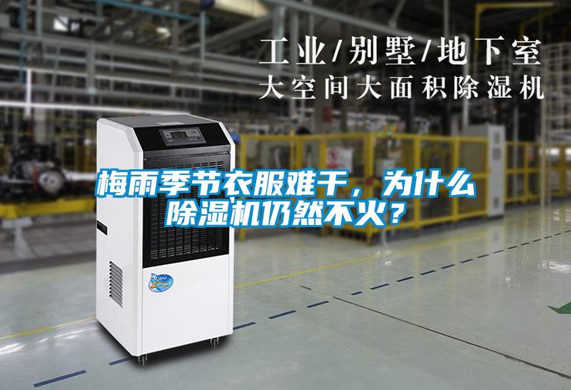 梅雨季節(jié)衣服難干，為什么除濕機仍然不火？