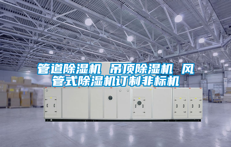 管道除濕機 吊頂除濕機 風(fēng)管式除濕機訂制非標機