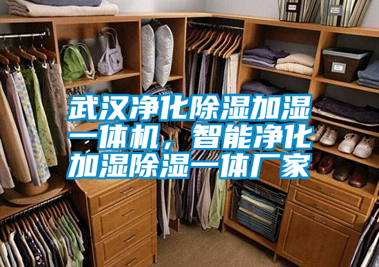 武漢凈化除濕加濕一體機(jī)，智能凈化加濕除濕一體廠家