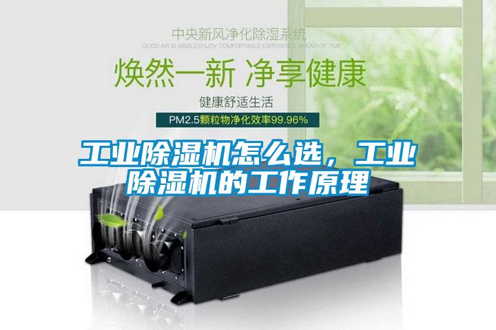 工業(yè)除濕機(jī)怎么選，工業(yè)除濕機(jī)的工作原理