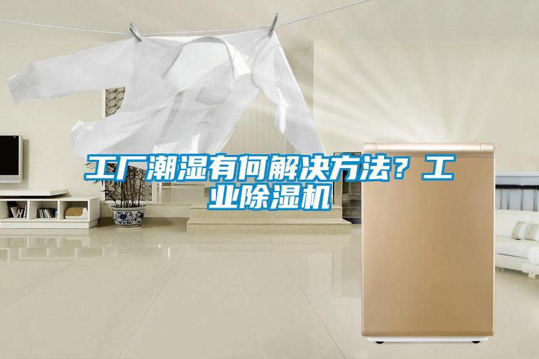 工廠潮濕有何解決方法？工業(yè)除濕機
