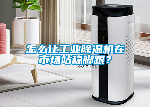 怎么讓工業(yè)除濕機(jī)在市場站穩(wěn)腳跟？
