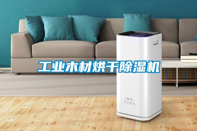 工業(yè)木材烘干除濕機