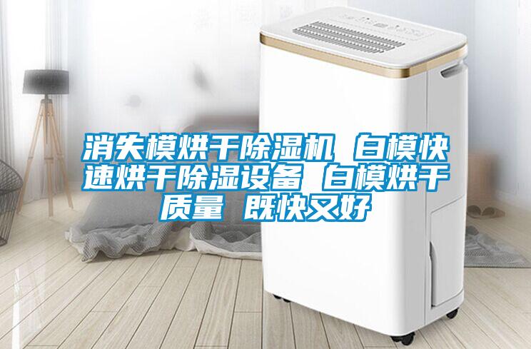 消失模烘干除濕機(jī) 白?？焖俸娓沙凉裨O(shè)備 白模烘干質(zhì)量 既快又好