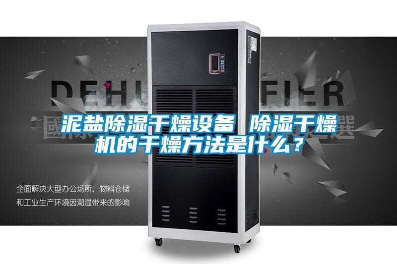 泥鹽除濕干燥設(shè)備 除濕干燥機(jī)的干燥方法是什么？